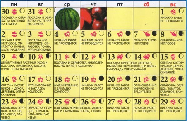  Calendário lunar