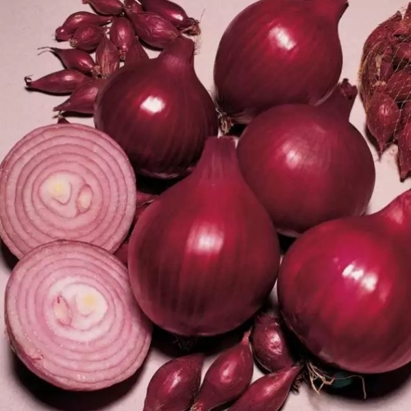  Baron de cebolla roja
