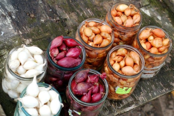  Before you begin planting, it is important to sort the sets by size.