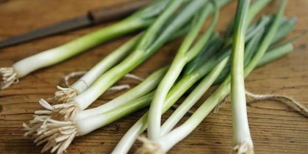  Young garlic