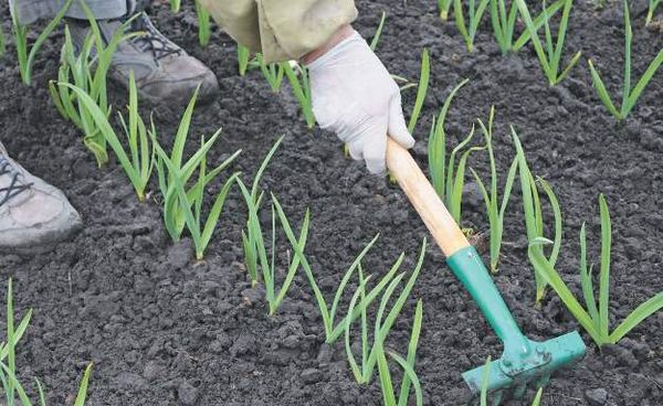  L'allentamento è necessario per la circolazione dell'aria.