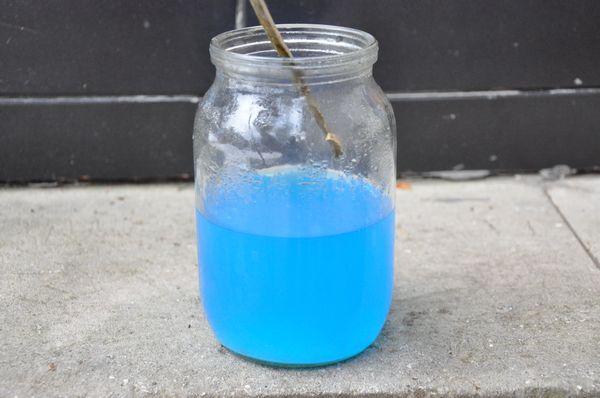  La disinfezione viene effettuata in una soluzione di solfato di rame