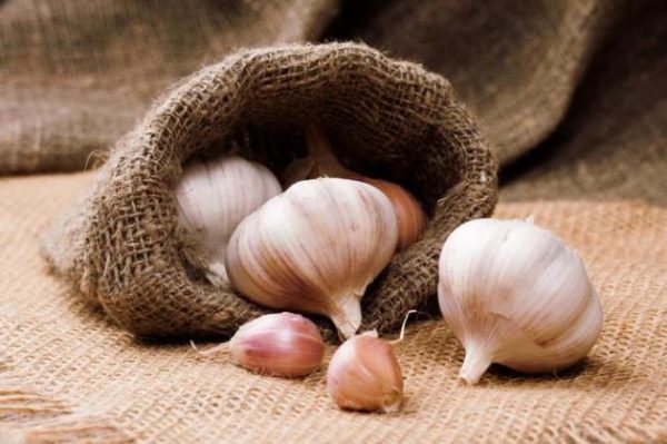  Testa d'aglio in una borsa di tela