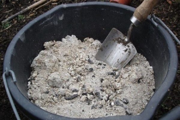  Cenere di legno - fertilizzante naturale