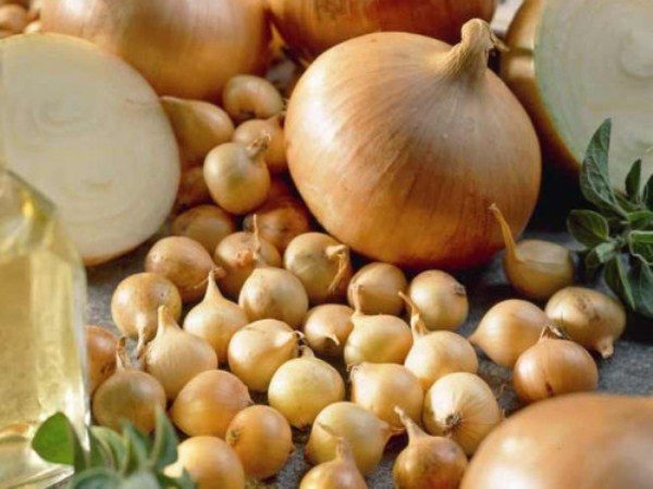  Quando il collo della pianta si asciuga, scava l'albero