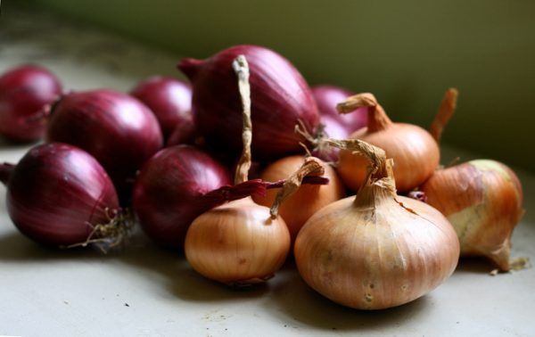  Planting onion sets on the head