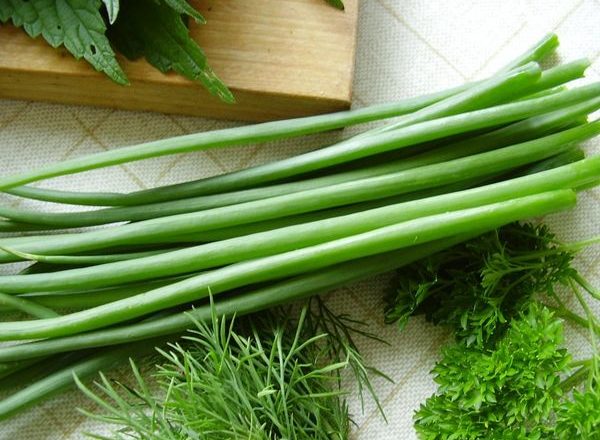  Growing onions for greens
