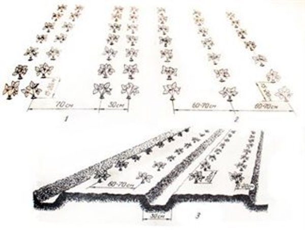  One and two-row landing scheme