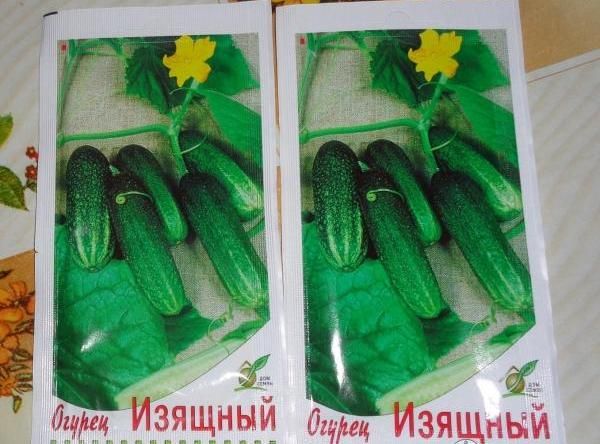  Grade cucumber seeds