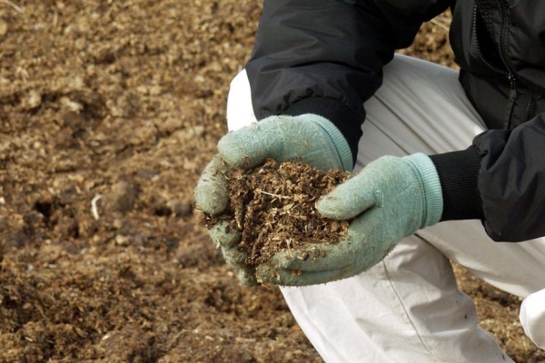  Suitable for feeding manure, diluted in water, and concentrated solution Ideal