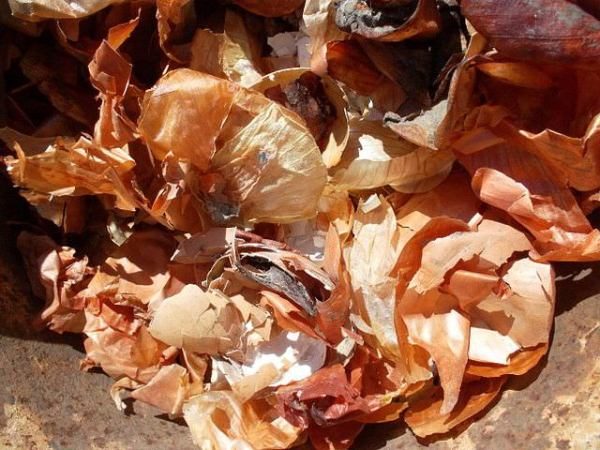  I benefici della buccia di cipolla sono che contiene una grande quantità di minerali