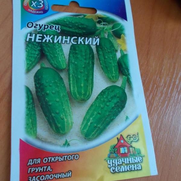  Semi di varietà di cetriolo Nezhinsky