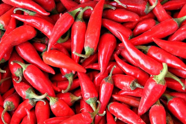  Pepper the Light helps from diabetes