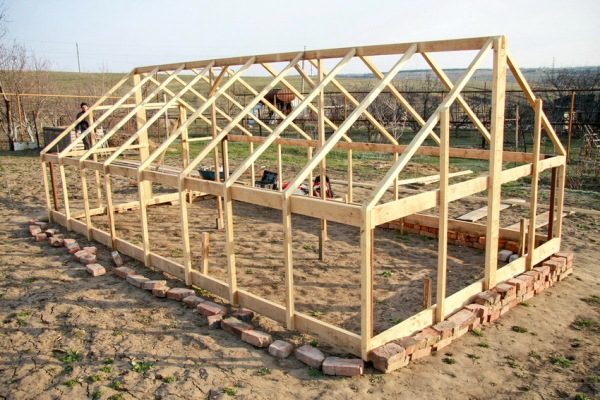  Biber yetiştirmek için sera serası