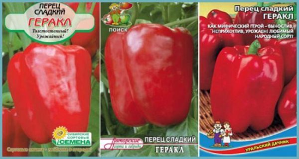  Pepper seeds Hercules