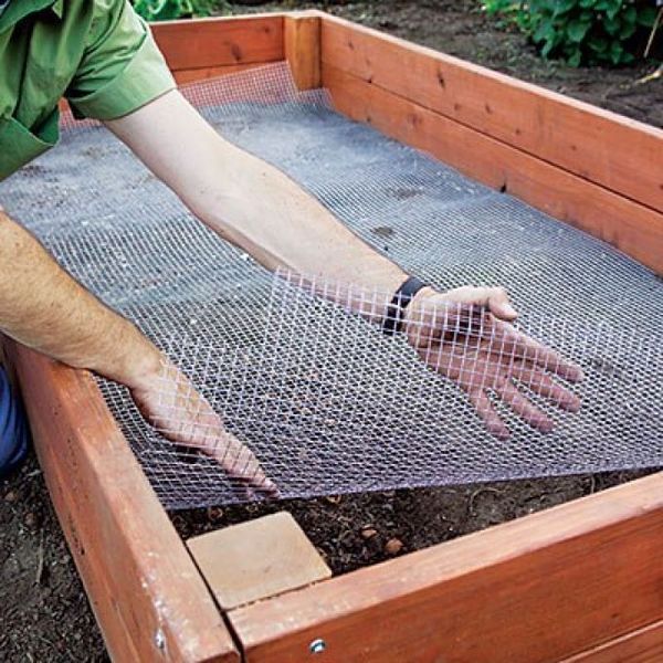  To protect against rodents under the bottom of the first tier you need to lay a rabits