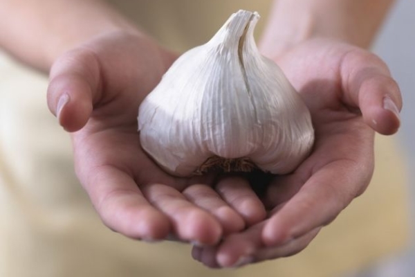  La verdura ha limitazioni per l'uso e in alcune malattie può causare danni irreparabili a una persona.