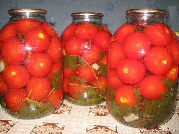  Variedade de Tomates Enlatados Andromeda