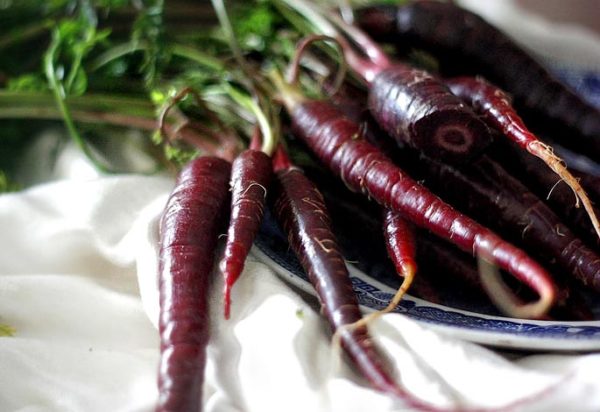  Black carrot fruits on a plate