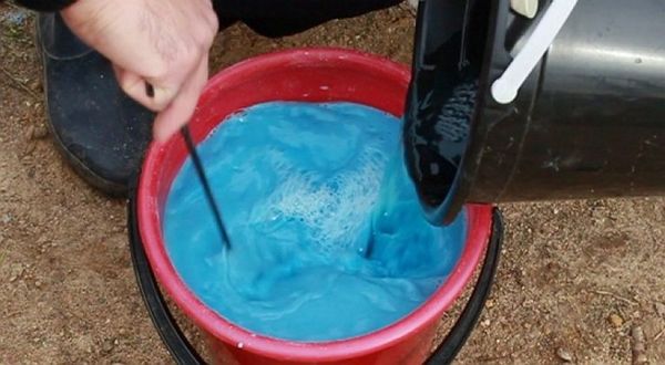  Copper sulfate solution is used to disinfect the soil.