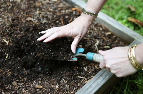  The soil for sowing should be loose, fertile or sandy with a neutral or slightly acid reaction.