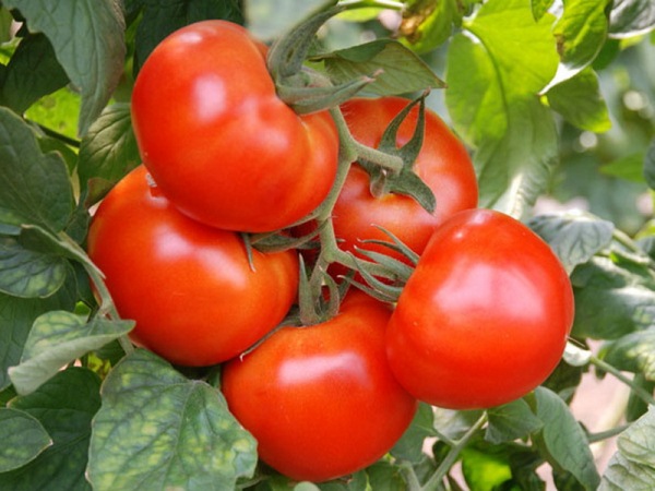  Mercado del milagro del tomate