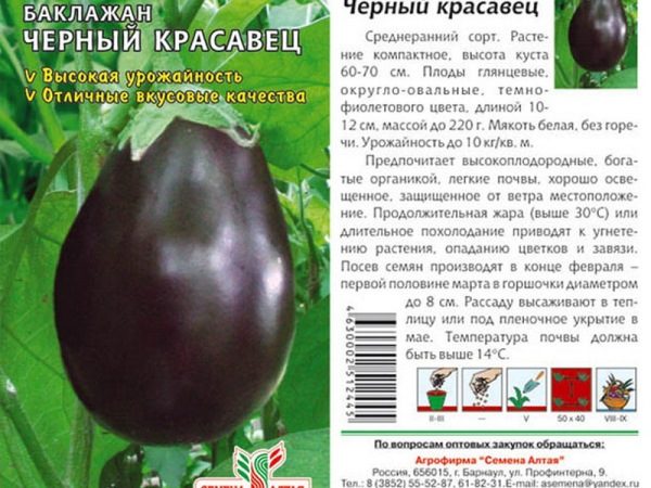  Semi di melanzana Neri belli