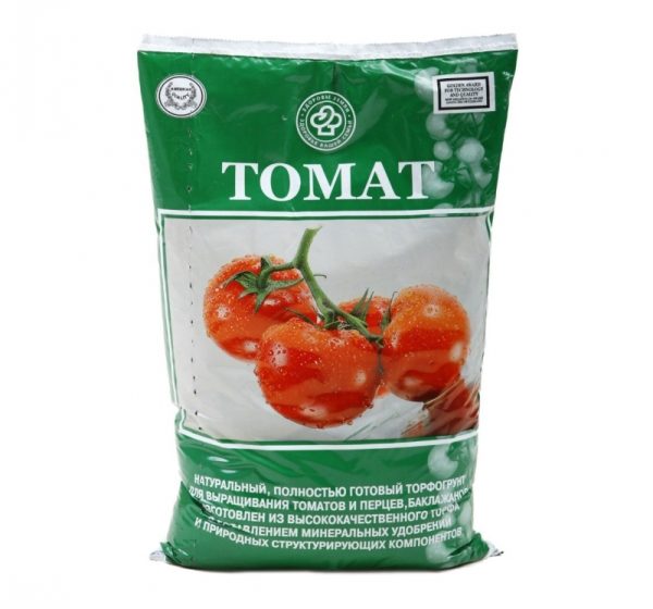  Peat ground para tomates em crescimento