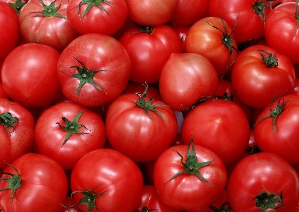  Tomate Hali Ghali tem uma característica distintiva - um pequeno bico na parte inferior do feto