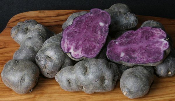  Violet potato varieties include those that are intensely colored not only by the rind, but also by the pulp.