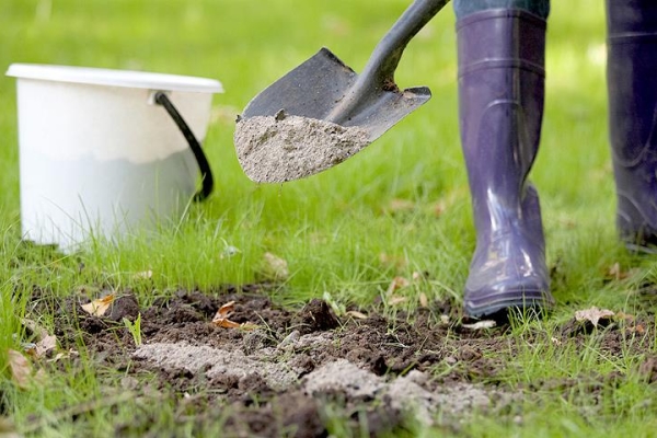  A few weeks before planting, equip the soil with ash and humus, dig up
