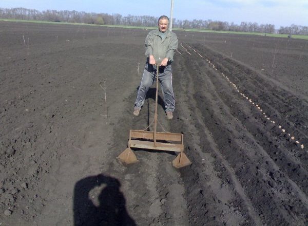  Planting Potatoes with Hand-Held Appliances
