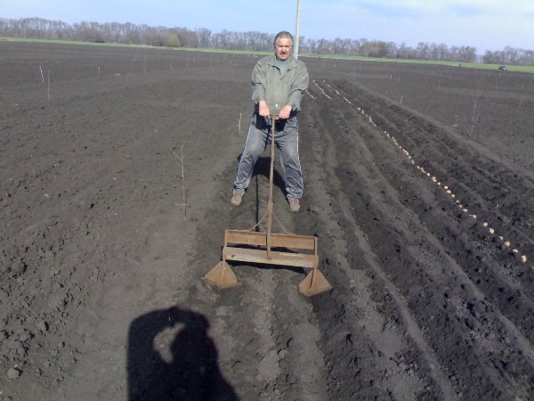  Planting Potatoes with Hand-Held Appliances