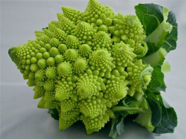  Ο βαθμός λάχανων Romanesco
