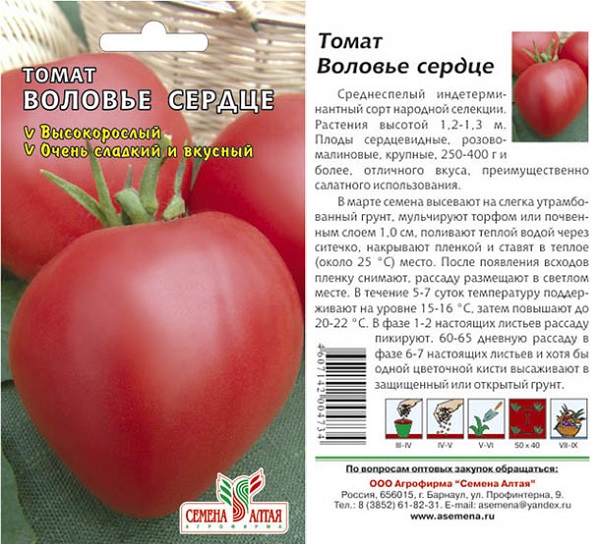  Condições de cultivo de tomate