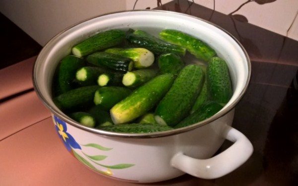  In order to remove the bitterness, you can cut the cucumbers and put them in cold water