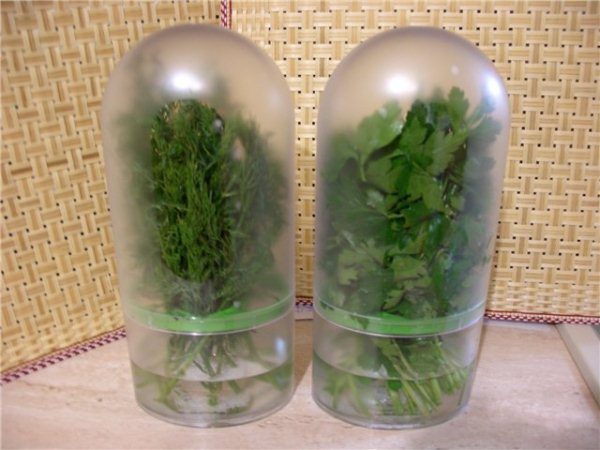  Depozitarea ecologică în recipientele din plastic