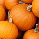  Varietà di zucca ad arbusto