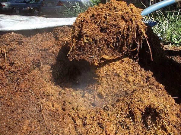  Per l'alimentazione puoi usare letame decomposto