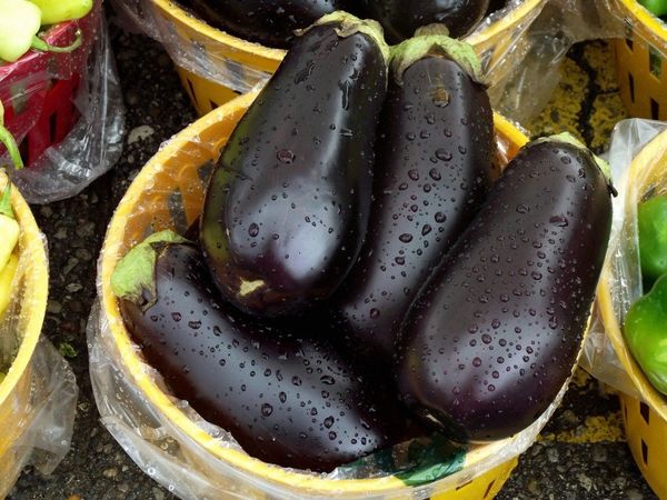  Il colore delle melanzane non è considerato un segno di maturità.
