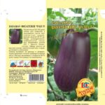  Miracolo viola
