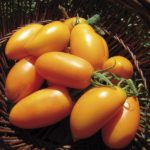  Laranja Banana