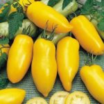 Banana Amarela