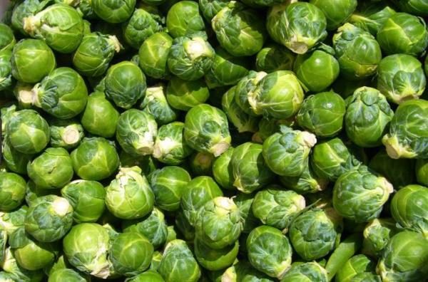  Cavoletti di Bruxelles