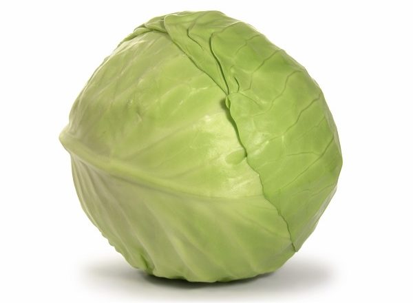  Cavolo gloria