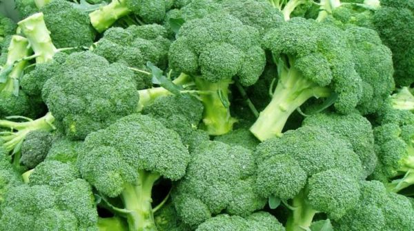 broccoli
