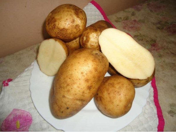  Patate della fortuna