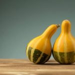  Varietà di piccola zucca