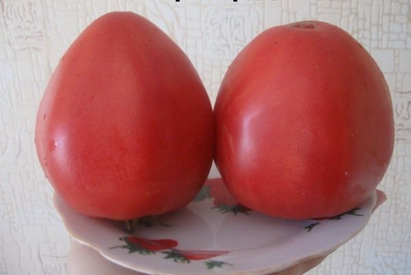 Greutatea fructelor dintr-un grad fluctuează de la 300 la 1000 de grame