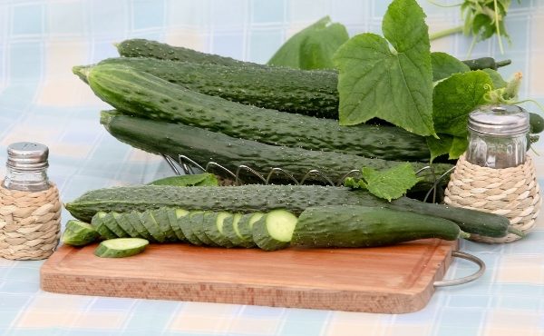 Cucumber Alligator F1